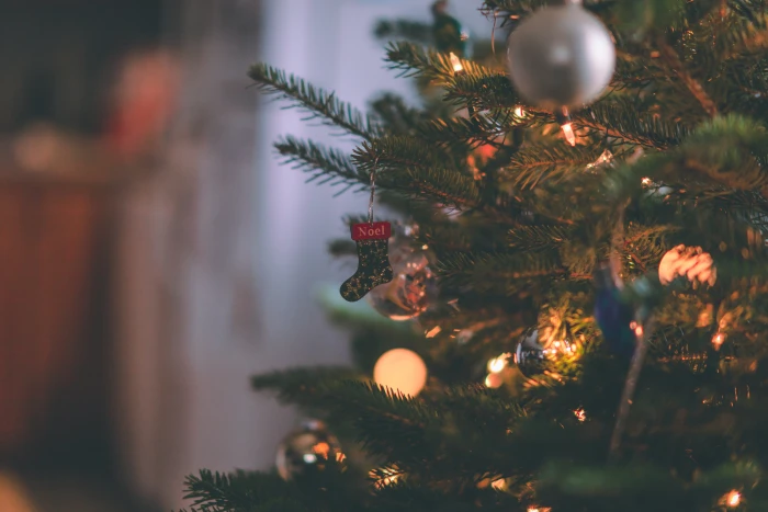 Macro Shot Photography of Christmas Stockings Ornament on a Tree 2k 4k 5k
