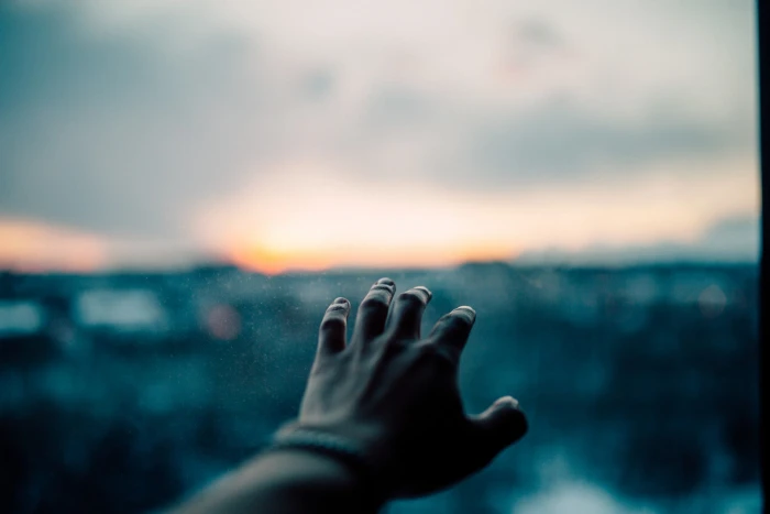 person s left hand human hands macro depth of field 2k