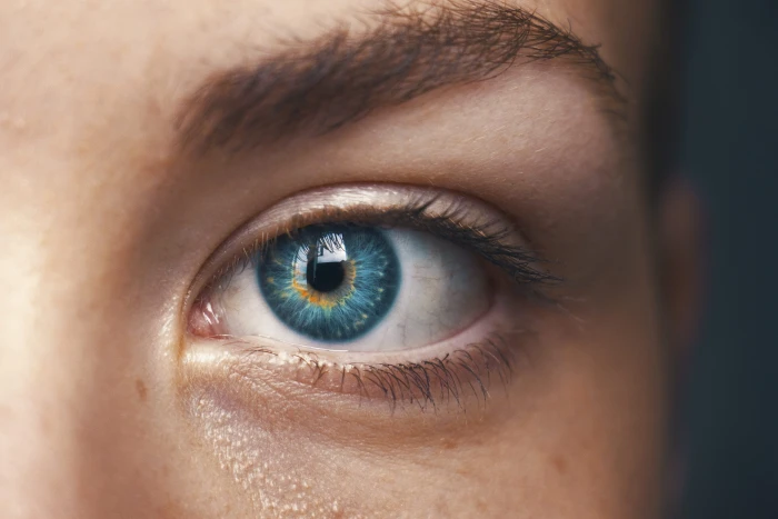 selective focus of blue eyed person close up shot s left eye 2k 4k 5k