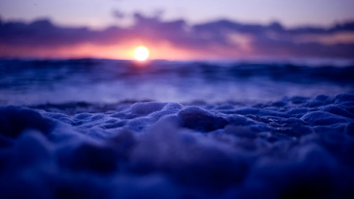 sunset macro photo of sea bubbles during water waves 2k 4k