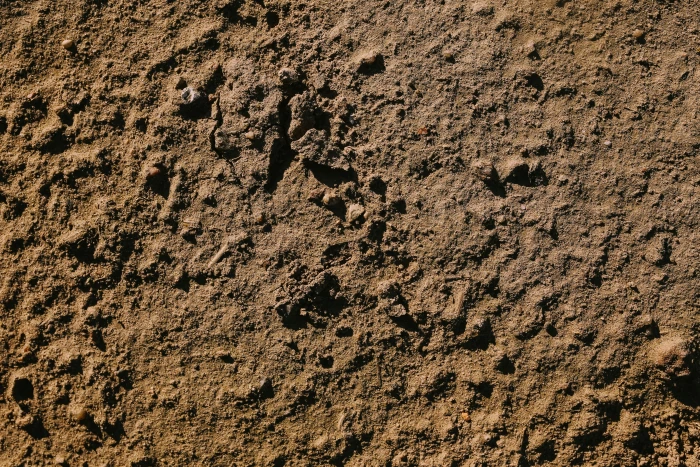 Various surfaces close ups closeup background wall dirt window 2k 4k 5k