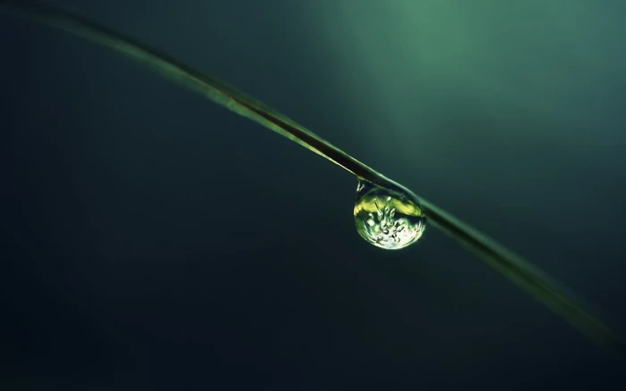 water droplet macro plants drops nature green Color