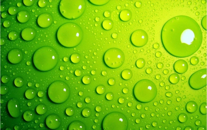 water drops macro green wet color close up backgrounds 2k
