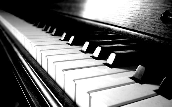 white and black piano keys music monochrome musical instrument 2k