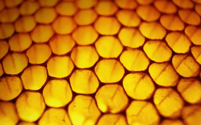 yellow and red floral textile nature honeycombs macro backgrounds 2k
