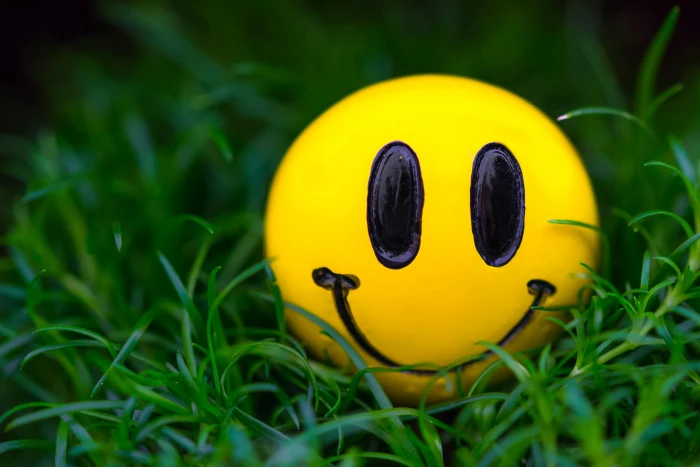 yellow emoji ball grass macro smile smiley plant close up 59 2k