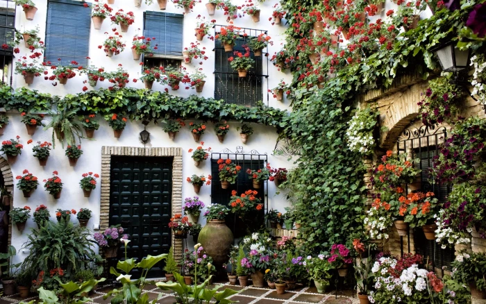andalusia bokeh building cordoba house patio spain 2k