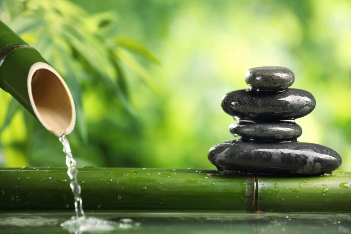black cairn water stones stems calm bamboo blur green 77 2k 4k 5k