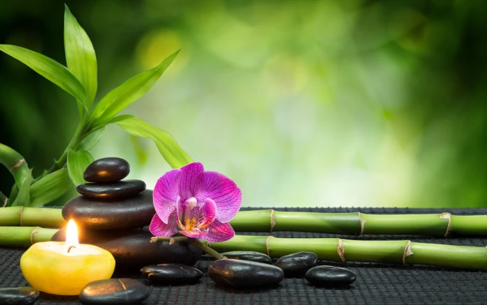 black massage stones pink orchid and green lucky bamboo bokeh 2k