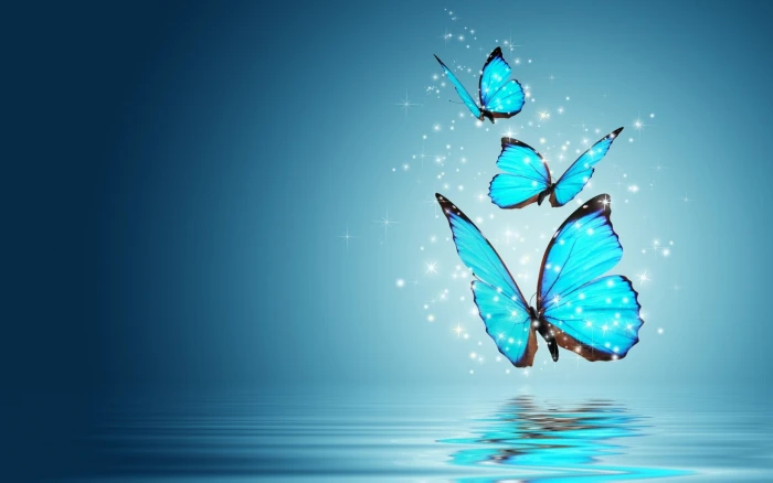 bokeh butterfly fantasy Magic mood 2k