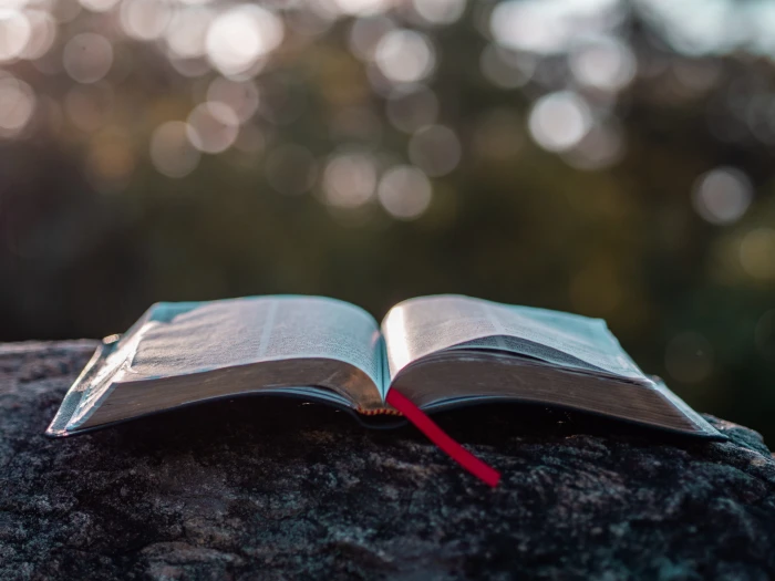 book pages on gray stone during daytime bible read bokeh faith 2k 4k 5k