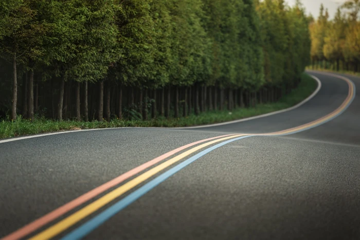 Beautiful road through the forest 2k