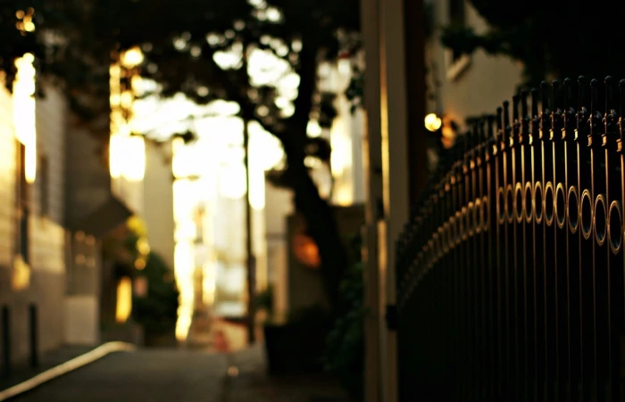 fence bokeh depth of field 2k