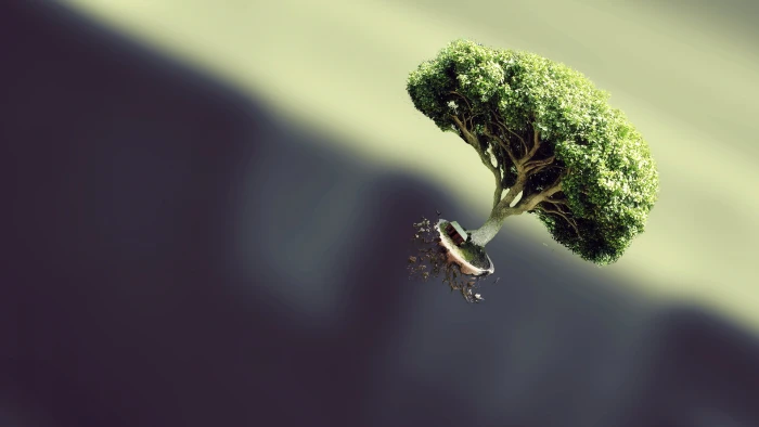 green and beige tree miniature trees bonsai floating simple background 2k
