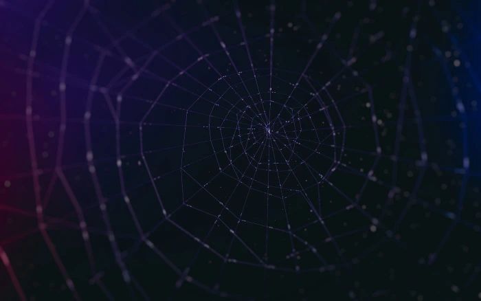 selective focus photography of spider web closeup photo 2k