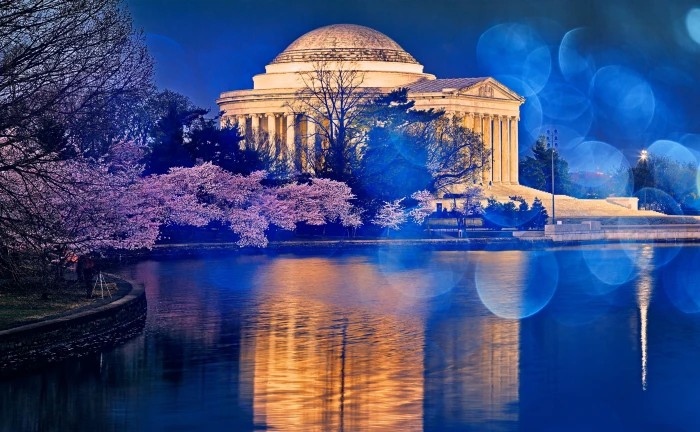 Thomas Jefferson Memorial Cherry Blossom white concrete building 2k 4k