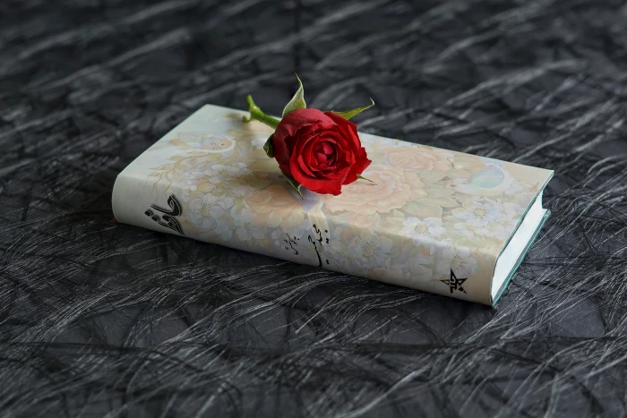 brown hardbind book with red rose on top persian poems hafez 2k 4k 5k
