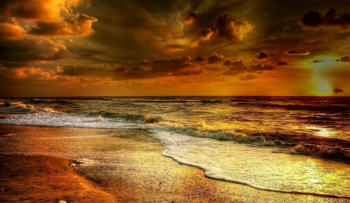 body of water during golden hour denmark beach sea north 2k