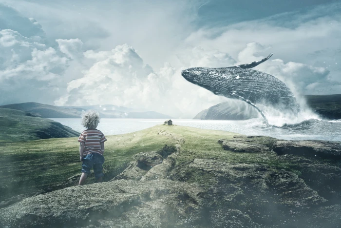boy standing near sea with blue whale landscape wind wal child 2k 4k 5k