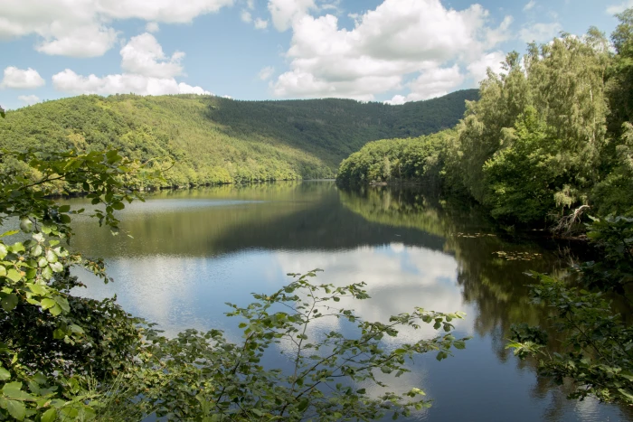 calm waters surrounded by green leaves lake forest eifel germany 2k 4k 5k