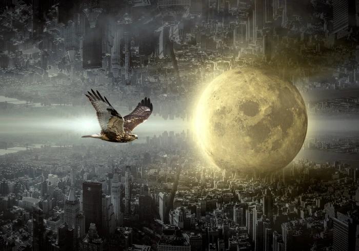 fantasy city moon hawk mood building surreal light mysterious 2k 4k 5k