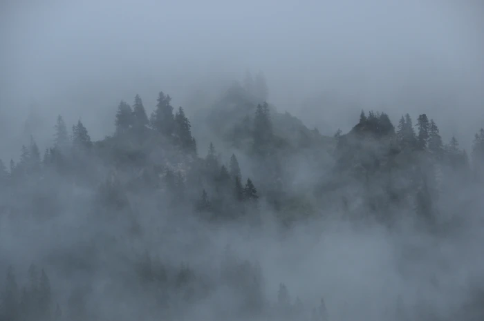 foggy mountain clouds mountains forest nature landscape 2k 4k