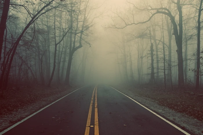 gray asphalt road wood fog marking lines mysticism riddle 2k