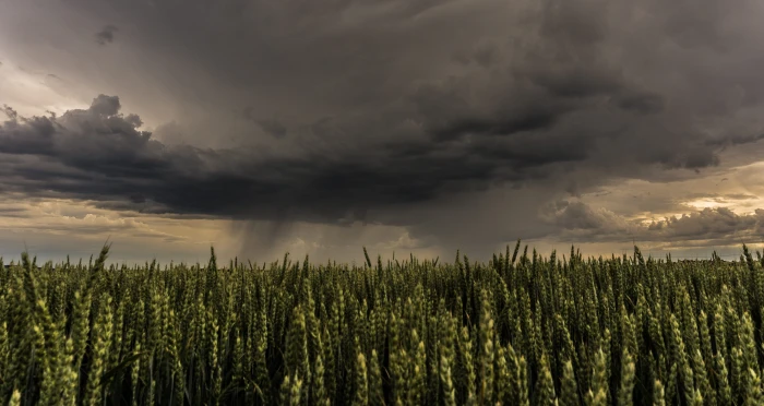 green grass field Thunderstorm Cloud Weather cloud formation 2k 4k 5k