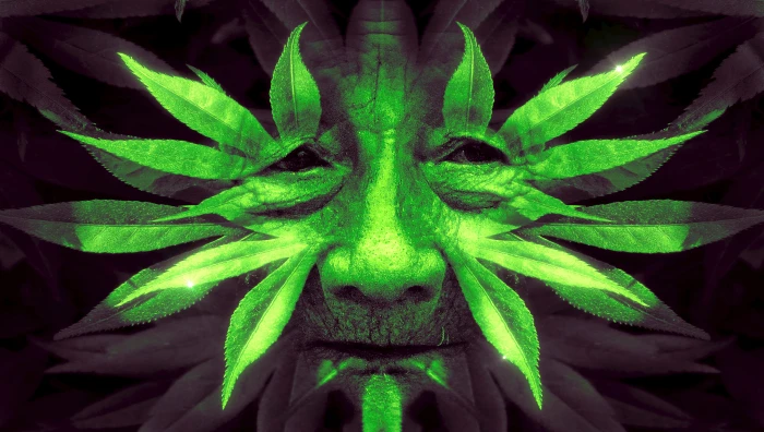 man face wallpaper fantasy leaves green human nature portrait 2k 4k 5k