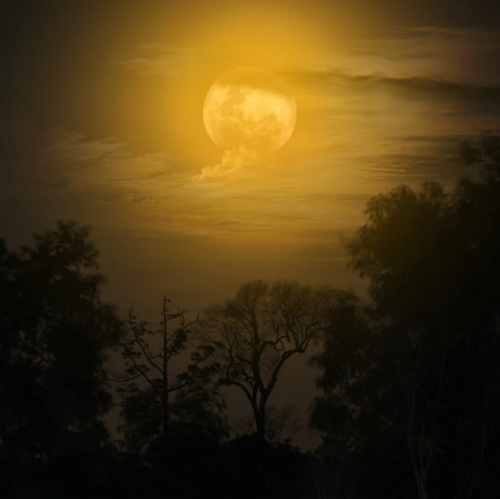 moon night moonlight dark fantasy midnight sky love 2k