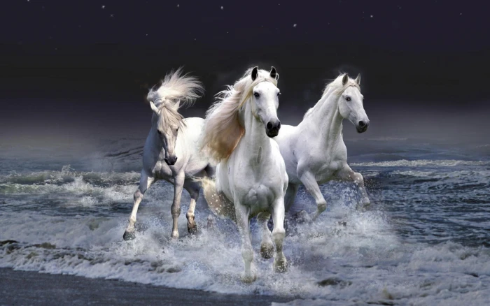Mystic Horses animals and birds 2k
