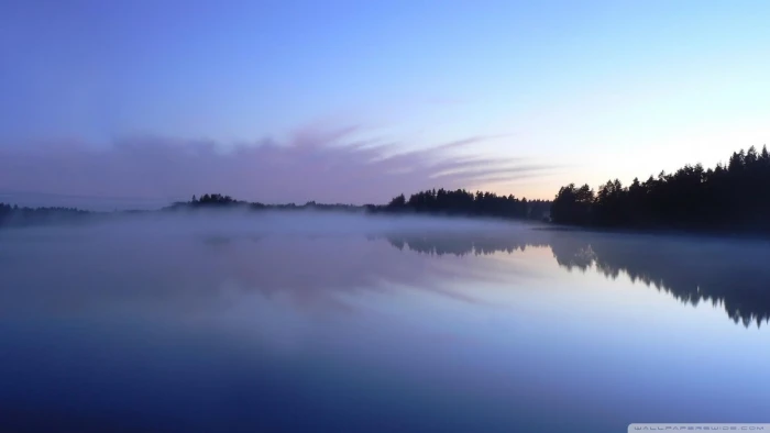 Mystic Lake trees blue mist nature and landscapes 2k