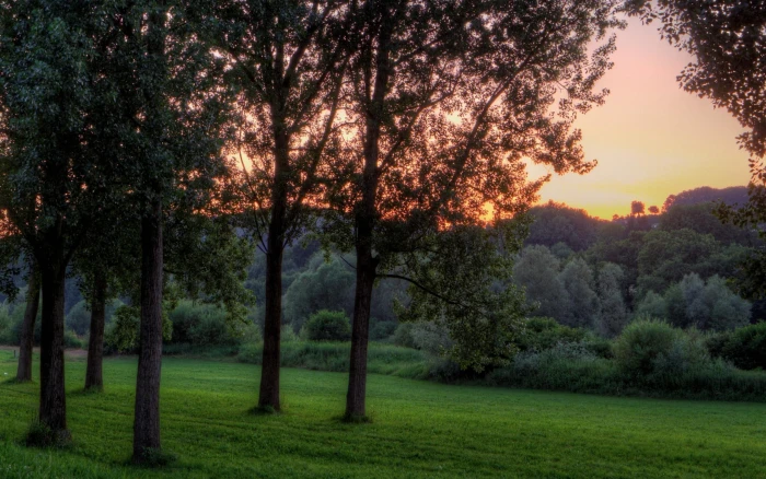 Mystic Riverside black tree line hillside nature beautiful 2k