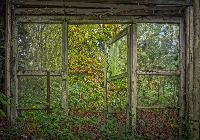 opened window and surrounded by plants lost places leave decay 2k 4k