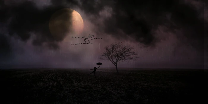 person silhouette holding umbrella near leafless tree moonlight 2k