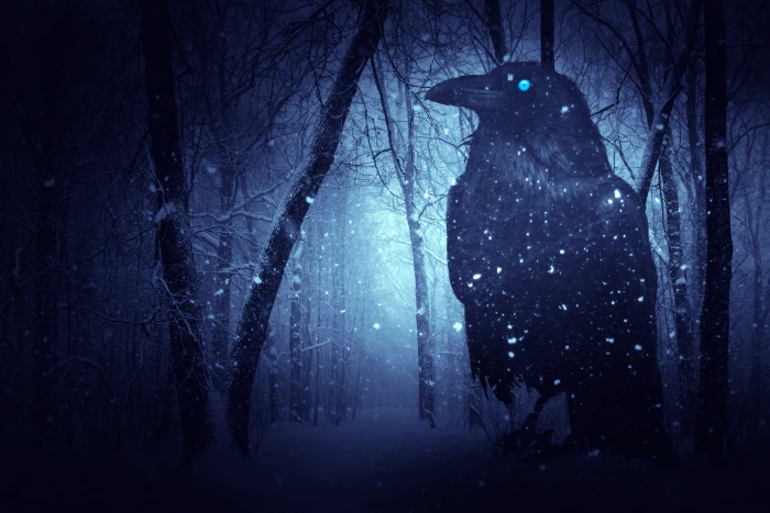 photo of black crow surrounded by snow winter season trees 2k 4k 5k