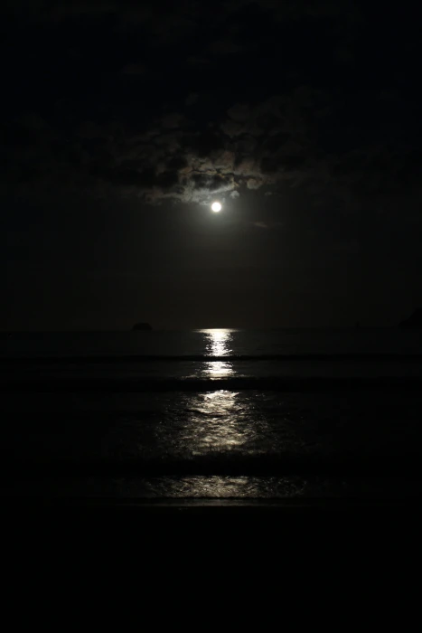 photo shot of seashore during night time at moon wave 2k