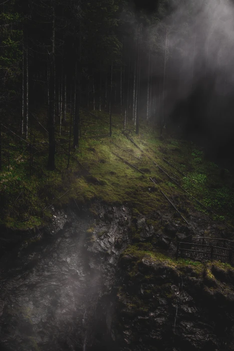 photography of forest wrecked gray rock formation during nightime 2k 4k