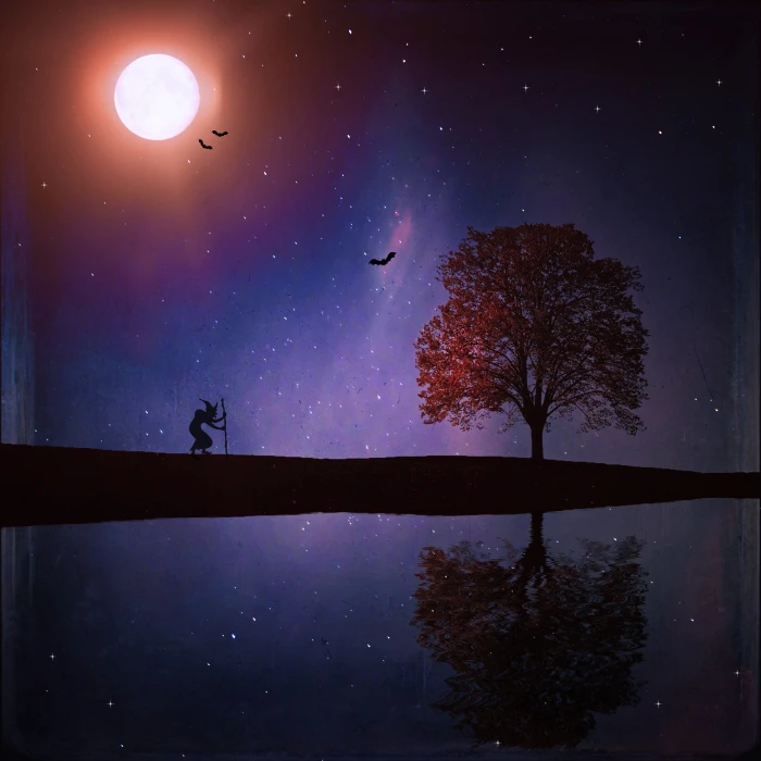 silhouette of person holding stick near tree and body water 2k 4k