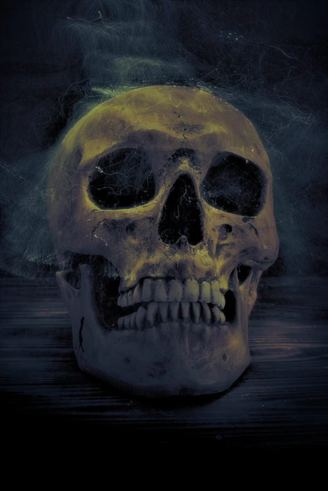 skull spirit mystical weird surreal horror creepy fantasy 2k 4k
