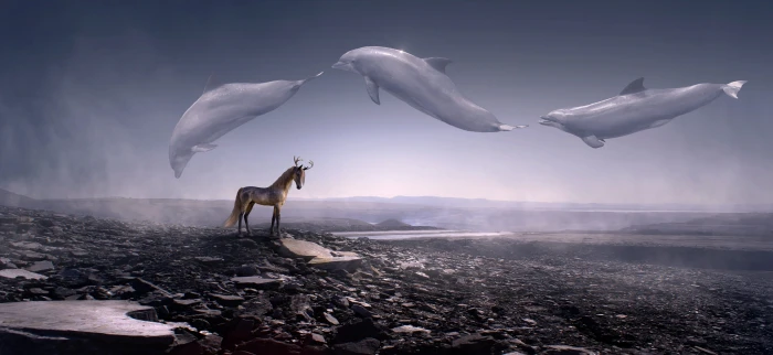 three dolphins jumping fantasy stone desert horse fly weightless 2k 4k 5k