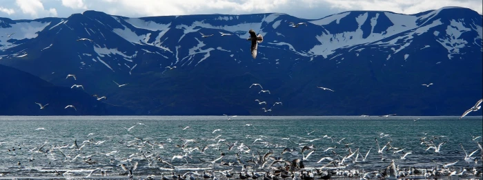 px dual monitor multi screen water sea widescreen dualmonitor dualscreen 2k