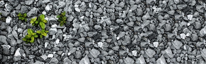 coloring dual multiscreen selective widescreen dualmonitor dualscreen 2k 4k