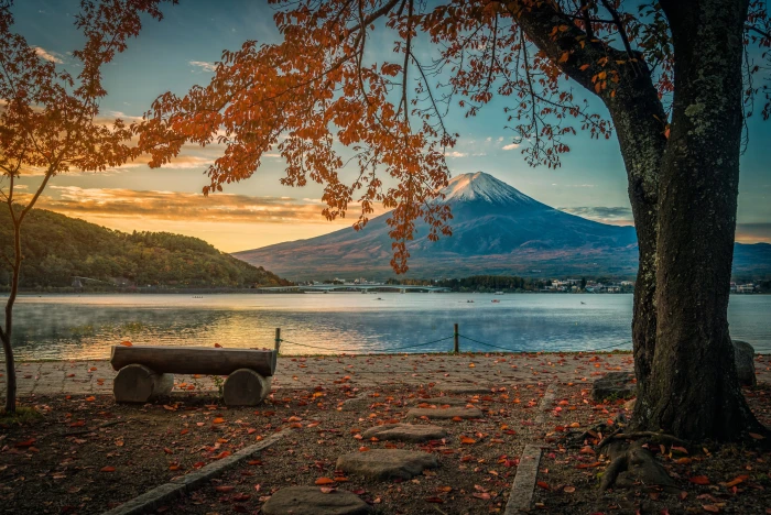 autumn leaves trees Park colorful Japan mount Fuji landscape 2k 4k 5k
