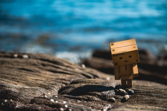boxman standing on stone during daytime barnacle beach 2k 4k 5k