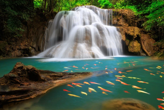 forest OSX Yosemite mountains apple 2k 4k 5k