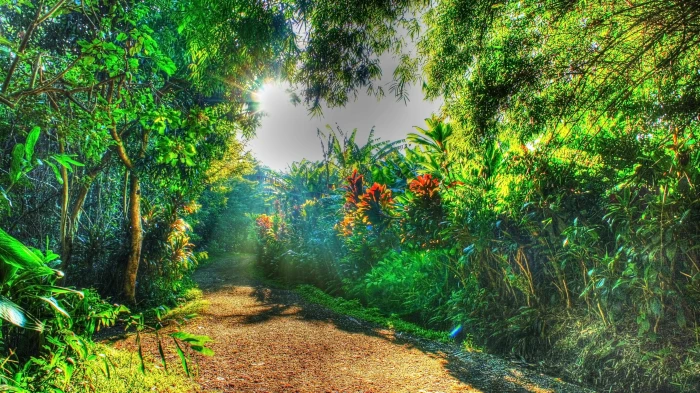 green leafed plants painting tropical water forest 2k 4k 5k
