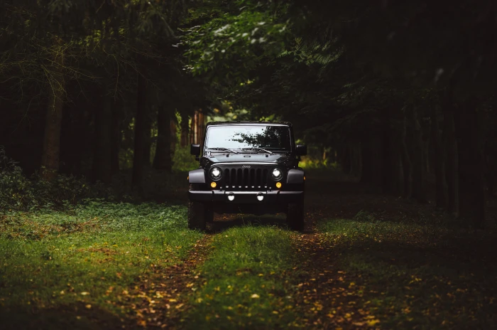 Jeep Wrangler forest nature grass 2k 4k 5k 8k