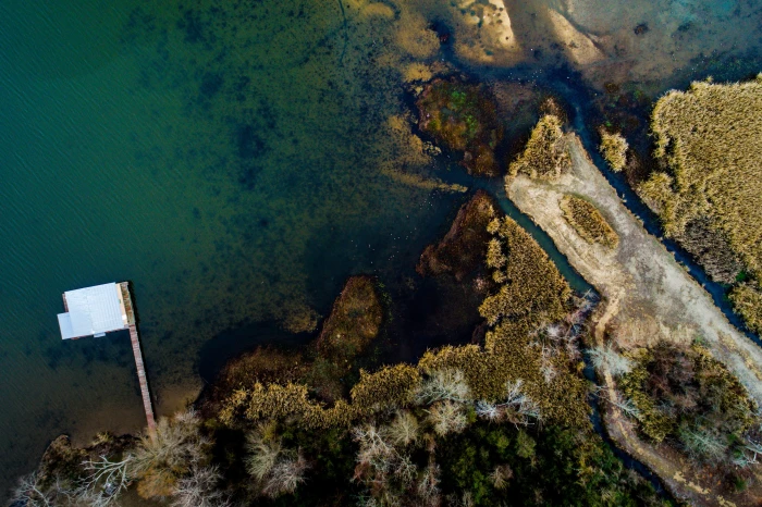 beach shore nature water trees pier aerial view no people 2k 4k 5k