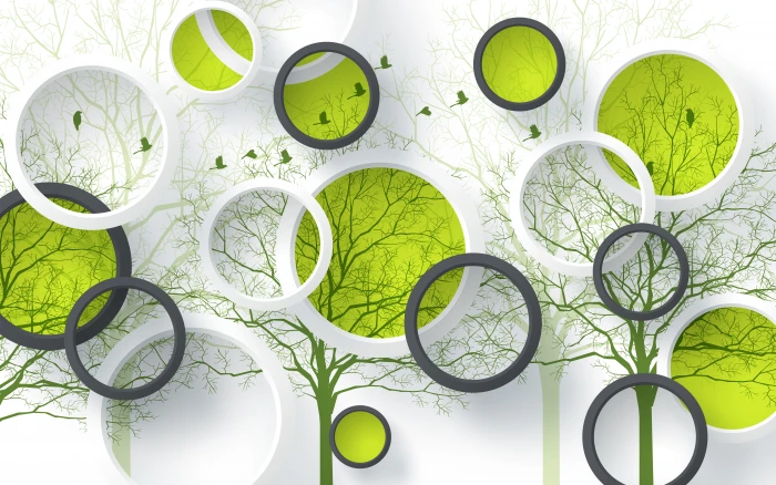 Birds Design Green Circles still life indoors 15 2k 4k 5k 8k